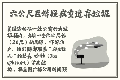 妈妈的朋友2